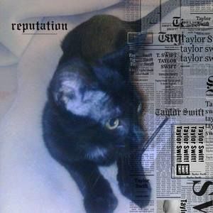 Meet your Posher, Arreya